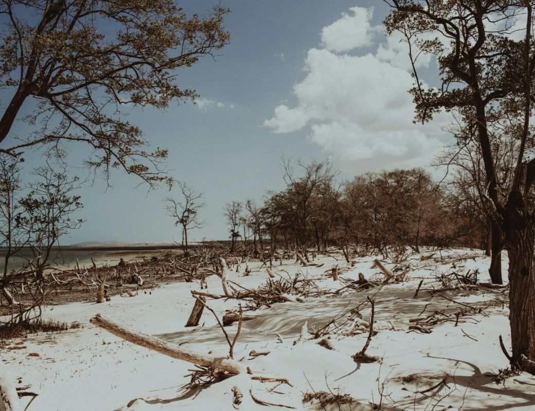 Imagem Praia Jericoacaora Cuidado Sustent%C3%A1vel